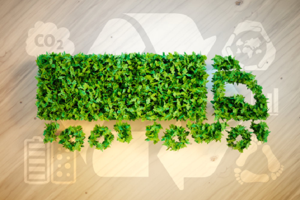 Green Initiatives: Driving Positive Change for a Sustainable Future
